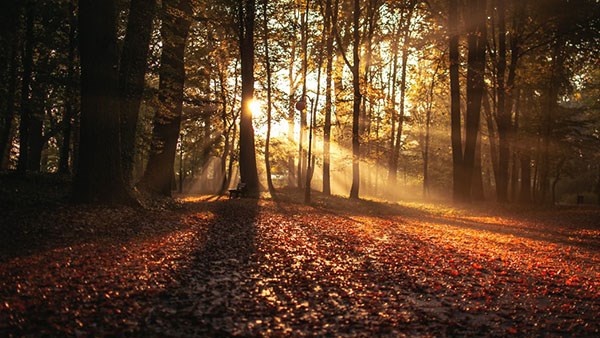 Emission i oktober
