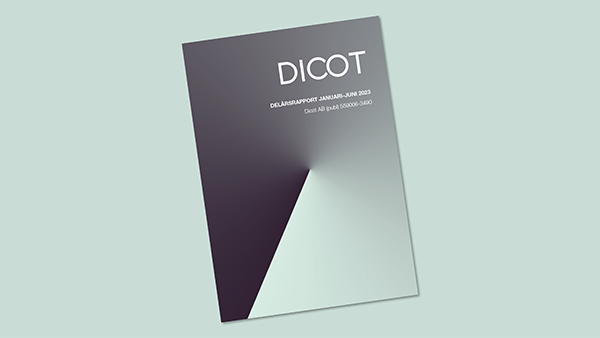 Delårsrapport april-juni